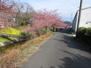 IMG_1817