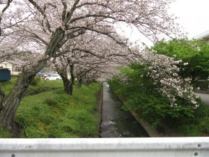 IMG_3859
