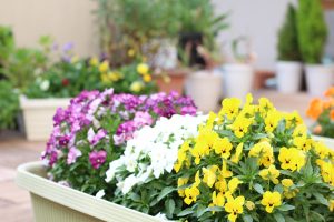 IMG_9580
