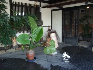 DSCF4029